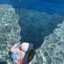 우가농장 | 2박3일 아이랑 전북여행 | 고창 풀빌라 각시재, 상하농원, 변산 소노벨, 격포해수욕장