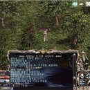 메티스본 Daum카페