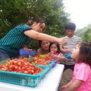 갑산농장 이미지