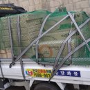 성실화물 이미지