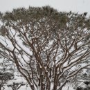 금반농장 이미지