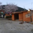 대덕장여관 이미지