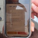 인천꿈나무 | [주간기록] 3월 3주차 : 3월은 푸르구나, 덕질 꿈나무는 자란다.