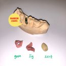 본기공소 이미지