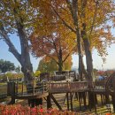 충주세계무술박물관 관리동 화장실 1층 | 아이랑 충주 여행 탄금공원 아쿠아리움부터 라바 랜드까지 하루 알차게!