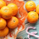 박정미농장 이미지