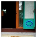 오뉴월 개팔자 이미지