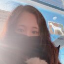 해피올동물병원 이미지