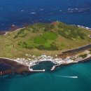 제주 비양도 호니토 이미지