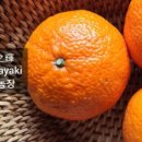 장희농장 이미지