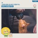 펫슈머