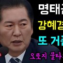 명태균 게이트 강혜경 증인채택 이미지