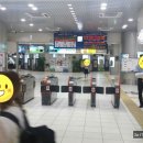 시로쿠마