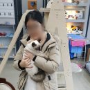 엉클스캣 이미지