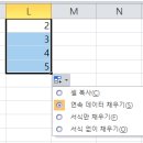 ○ 엑셀서식메뉴 ... 지우기 이미지