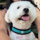 비트나 수영복 x 배러댄서프 한강데이, 서퍼스트 패들보드 후기