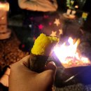 충북 보은 고릴라캠핑 in 속리산 캠핑장 D27 28 장단점 후기 정보