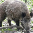 성산구 ⓒ-3 이미지