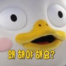 맨날 수리야 - 홍천군 | 맨날 수리야