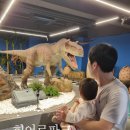 파크플레이 | 부산 실내놀이터 히어로플레이파크 명지점 (+후기와 꿀팁)