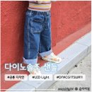 4살 남아 여름샌들 선물 추천 <다이노솔즈 DNKCG1TSWR11> 공룡 디자인, LED 신발 구매 후기