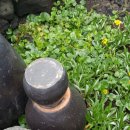 해일월 2호점 이미지