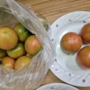 이레농장2 이미지