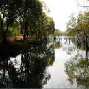 해피로드2 이미지