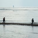 곰섬해수욕장 이미지