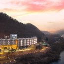 뉴팔로우호텔 이미지