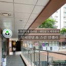 뷰티진담