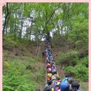 반기문평화랜드 이미지