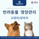 씽씽 동물의료센터 이미지