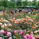 곡성-231 이미지