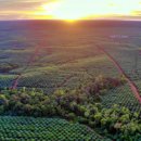 인터트레이딩 이미지