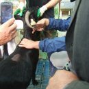 홍길동 농장 이미지