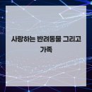 엉클장동물병원 이미지