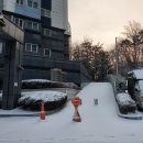 골미사 | 22.02 월말정산