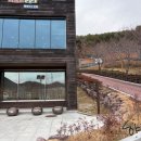 김해목재문화박물관 | 김해 목재문화박물관 꿈크는나무놀이터 주말방문(26개월 아기랑)