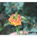 화심농장 이미지