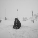 언제나봄날 민박 이미지