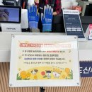 해맑은 마을 | 고소공포증 있는 자의 청도신화랑풍류마을 스카이트레일 방문 후기