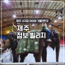 중문빌리지 | 제주 점보빌리지 코끼리 퍼레이드 공연시간 먹이 체험 중문 관광단지 서귀포 아이랑 갈만한 곳