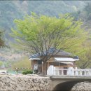 벽계관광지 이미지