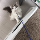 삼성미도(아) 경로당 | 봄의 꽃말은 야구