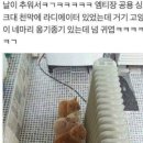 옹기종기 이미지