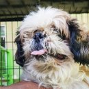 율하우리동물약국 이미지