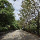 억새2축구장 | 상암 하늘공원 &amp; 노을공원 한 번에 즐기기 억새축제