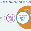 본힐링하우스 네이버블로그