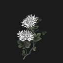 인화동-06 이미지